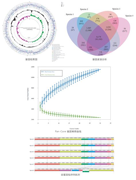 细菌基因组de Novo测序微生物基因组基因组学科研服务上海派森诺生物做单细胞、微生物、基因组、蛋白质代谢、转录组测序等多项测序技术服务商