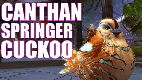 Gw2 Canthan Cuckoo Springer Mounts Pack Guild Wars 2 End Of Dragons