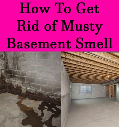 How Do You Get Rid Of A Musty Smell In A Carpet at Mary Hewitt blog