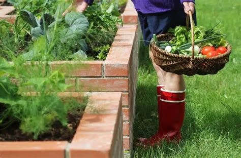 How To Start A Raised Bed Garden Gardening Is Great