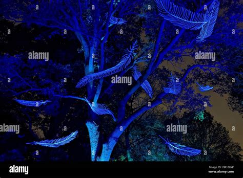 Blue Feathers At Kew Gardens Stock Photo Alamy