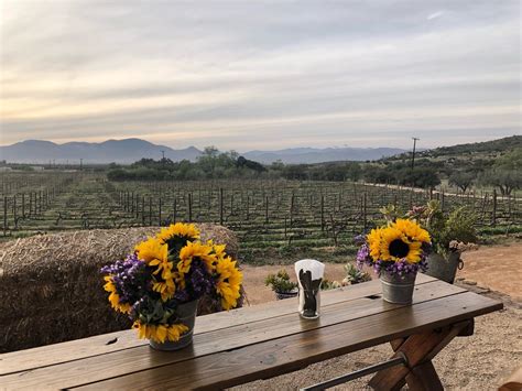 Valle De Guadalupe Turismo Qué Visitar En Valle De Guadalupe Ensenada