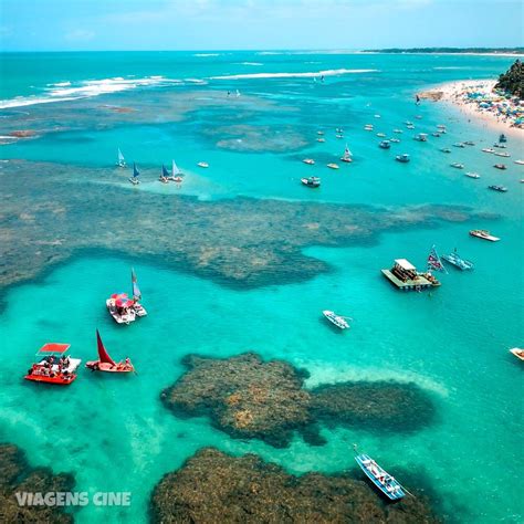 O Que Fazer Em Porto De Galinhas Top Melhores Passeios