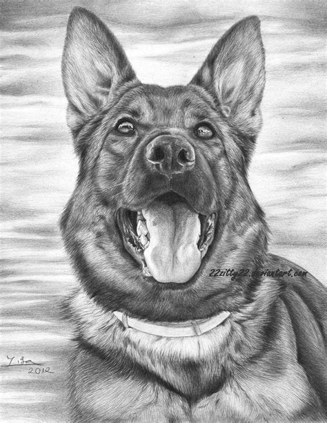 Pencil Shading Drawing Of Animals - pencildrawing2019