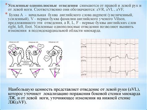 Методы функциональной диагностики - презентация онлайн
