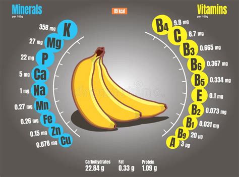 Bananenzusammensetzungstabelle In Bananen Vorkommende Vitamine Und