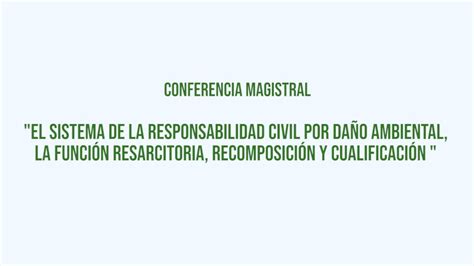 El sistema de la responsabilidad civil por daño ambiental la función