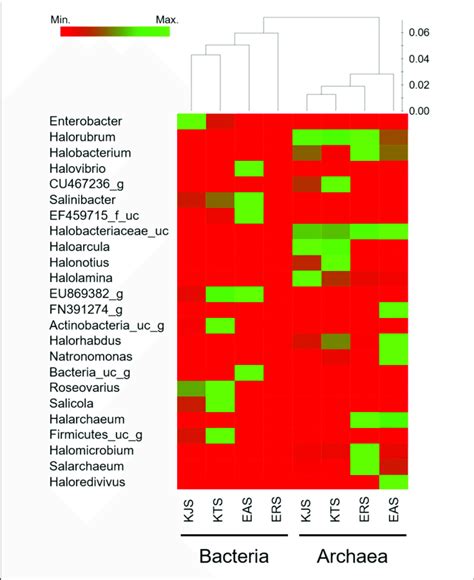 Heat Map Showing The Relative Abundances And Distribution Of Download Scientific Diagram