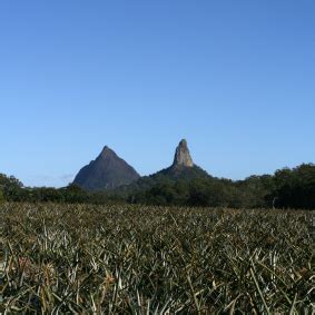 Beerwah, Queensland - Alchetron, The Free Social Encyclopedia