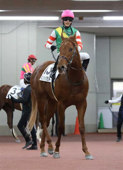 ＜中京1r＞勝利したマコトヴィクラントと坂井瑠星騎手 （撮影・亀井 直樹） ― スポニチ Sponichi Annex ギャンブル