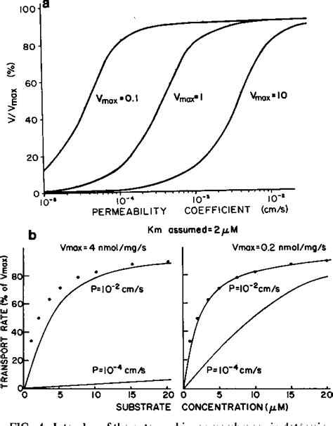 Cell Membrane Permeability | Semantic Scholar