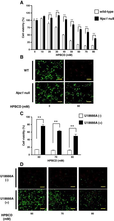 Effect Of Gene Deletion Or Pharmacological Inhibition Of Npc Against