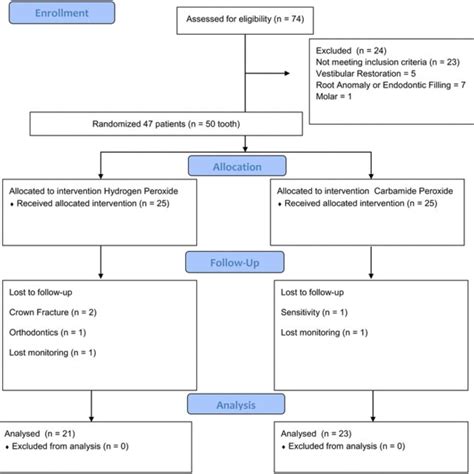 Flow Diagram Of The Clinical Trial Including Detailed Information On