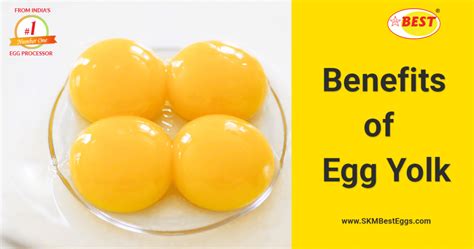 Benefits Of Egg Yolk For Healthy And Stronger Hair Skm Best Eggs