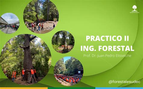 Ingeniería Forestal Práctico II Forestal