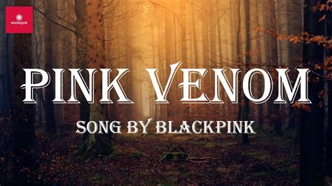 Blackpink Pink Venom Lyrics Youtube