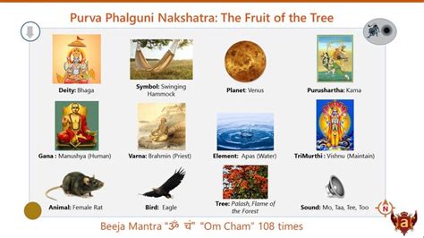 Purva Phalguni Nakshatra Astrology Meaning Vedic Astrology Astrology