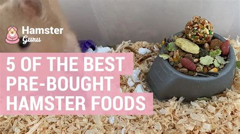 5 Of The Best Pre Bought Hamster Foods Hamster Guru