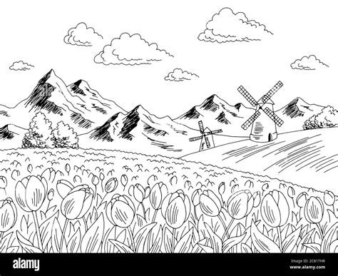 Tulip flower field graphic black white landscape sketch illustration vector Stock Vector Image ...