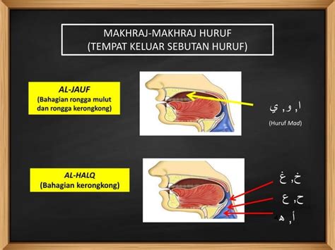 Tajwid Topik 2 Makhraj Makhraj Huruf Ppt