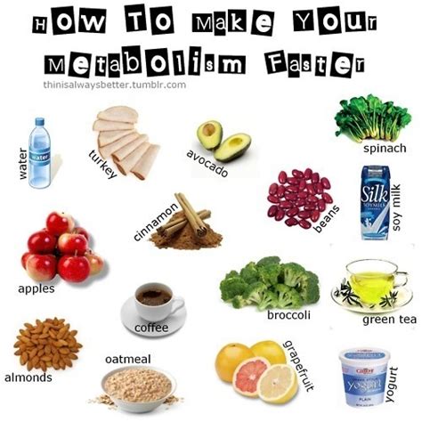 Foods That Help Metabolism Hot Sex Picture