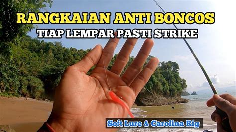 RANGKAIAN ANTI BONCOS MANCING DI PASIRAN SOFT LURE AJING CAROLINA