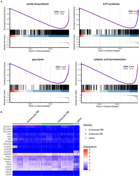 Targeting ALDOA To Modulate Tumorigenesis And Energy Metabolism In