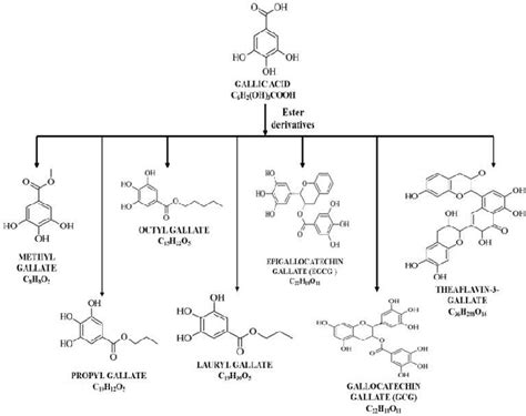 Figure From Gallic Acid Prospects And The Molecular Mechanisms Of