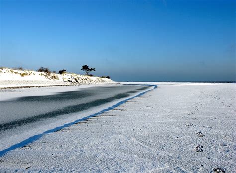 Winter Beach Sea Ice - Free photo on Pixabay - Pixabay