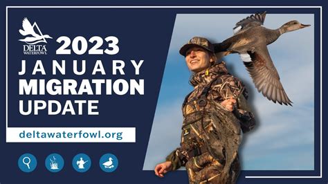 January 2023 Migration Update Delta Waterfowl YouTube