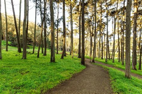 Filming at the Presidio | Film Permits | The Presidio (San Francisco)