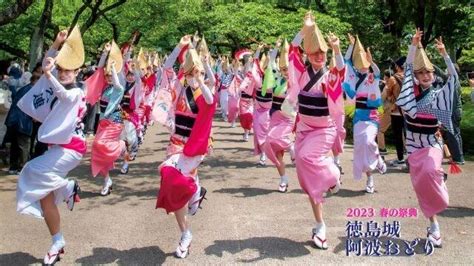 2023春の祭典「徳島城 阿波おどり」（徳島県）の観光イベント情報｜ゆこゆこ