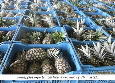 NTEs 2021 Report – Ghana Leads Yam Export Globally - Ghana Shippers ...