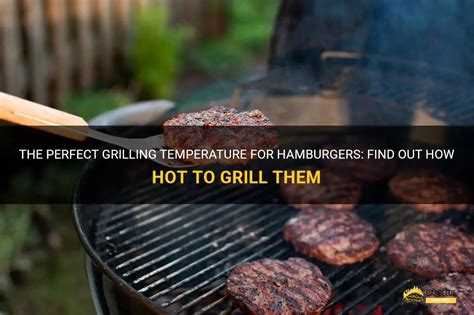 The Perfect Grilling Temperature For Hamburgers Find Out How Hot To Grill Them Shungrill