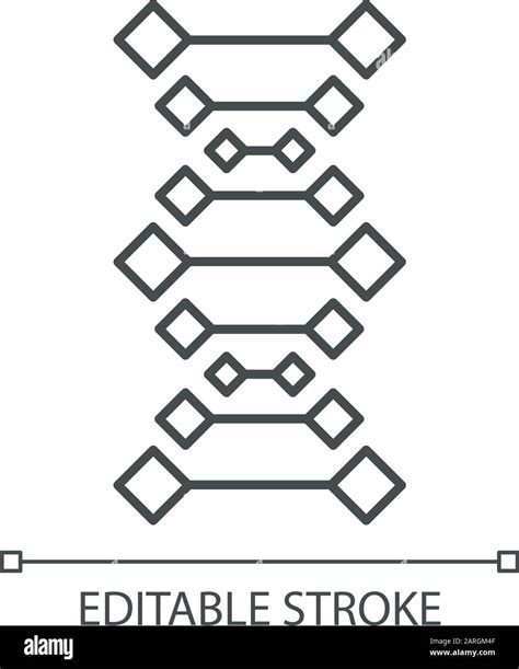 Icono Lineal De Cadenas De Adn H Lice De Cido Nucleico