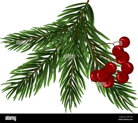 Christmas Tree Branch Stock Vector Image And Art Alamy