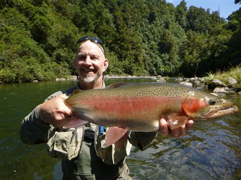 Fly Fishing Taupo Trout Information And Tips