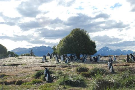 Come Organizzare Un Viaggio In Patagonia Argentina Patagonia