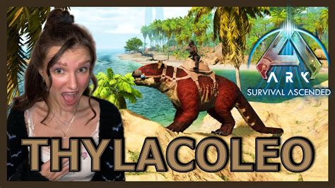 THYLACOLEO ZÄHMEN IN ARK SURVIVAL ASCENDED AUF THE ISLAND YouTube