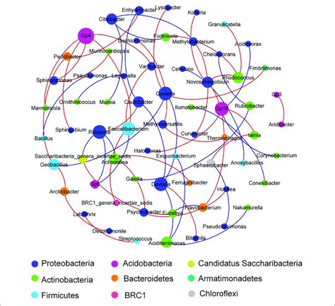 A Network Of Co Occurrence Pattern At Genus Level From All Samples Download Scientific