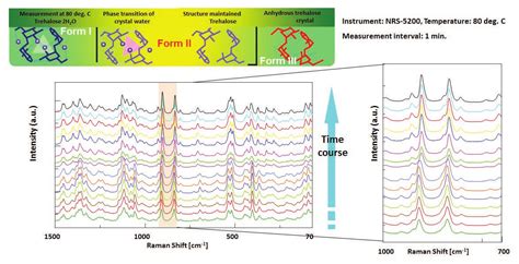 Raman Analysis Of Crystal Polymorph In Pharmaceuticals Jasco