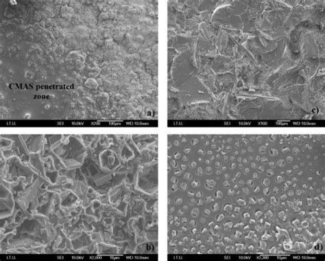 Shows Surface SEM Images Of CYSZ After CMAS Hot Corrosion Test