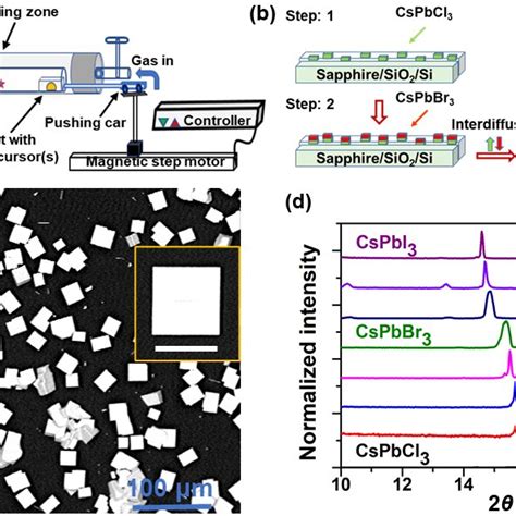 Optical Properties Of All Inorganic Halide Perovskite Alloy