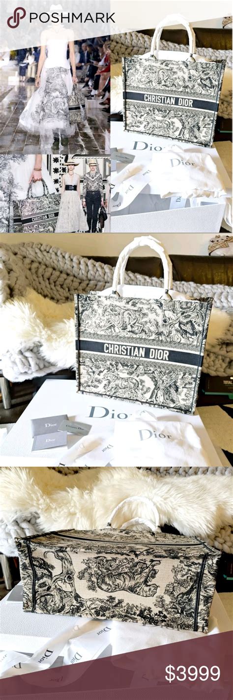 Nwt Christian Dior Book Tote Dior Oblique Bag Literacy Basics