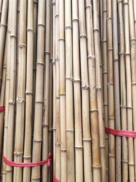 Eco Friendly Different Size Bamboo Poleraw Bamboo Materials With