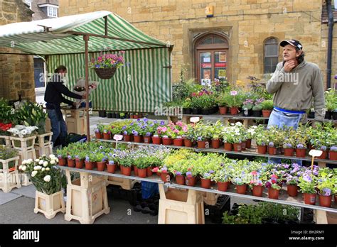 Flower Market Stall Selling Freshly Cut Flowers And Potted Flowers