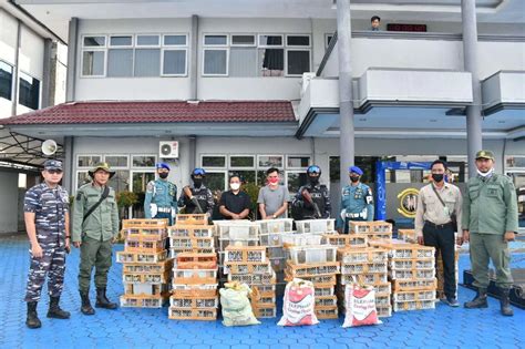 Lanal Banjarmasin Gagalkan Penyelundupan Burung Ilegal