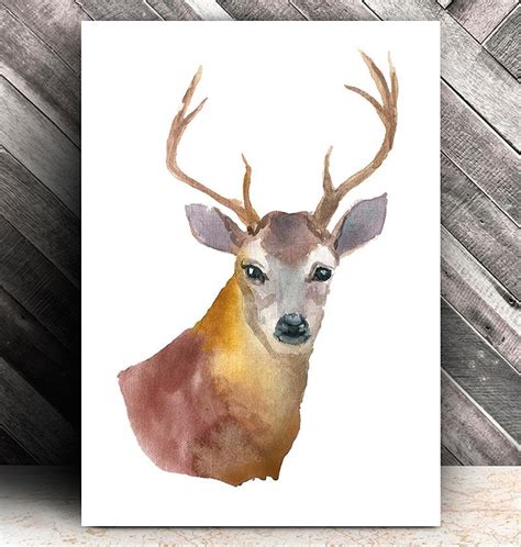 Watercolor Deer Head at GetDrawings | Free download