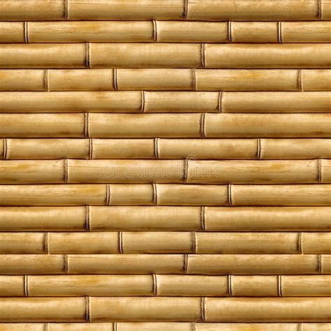 SEAMLESS TEXTURE Of BAMBOO BEIGE BACKGROUND Stock Photo Image Of