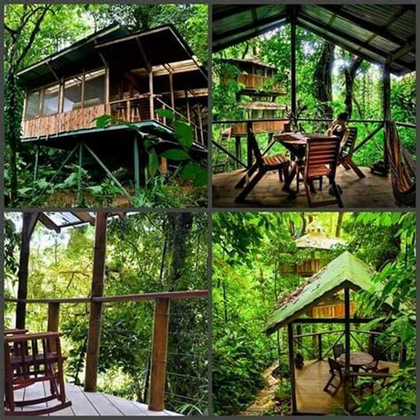 Tiny House Tree House Plans Cottage Design Plans Cool Tree Houses